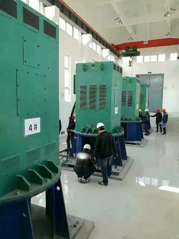 扬州某污水处理厂使用我厂的立式高压电机安装现场